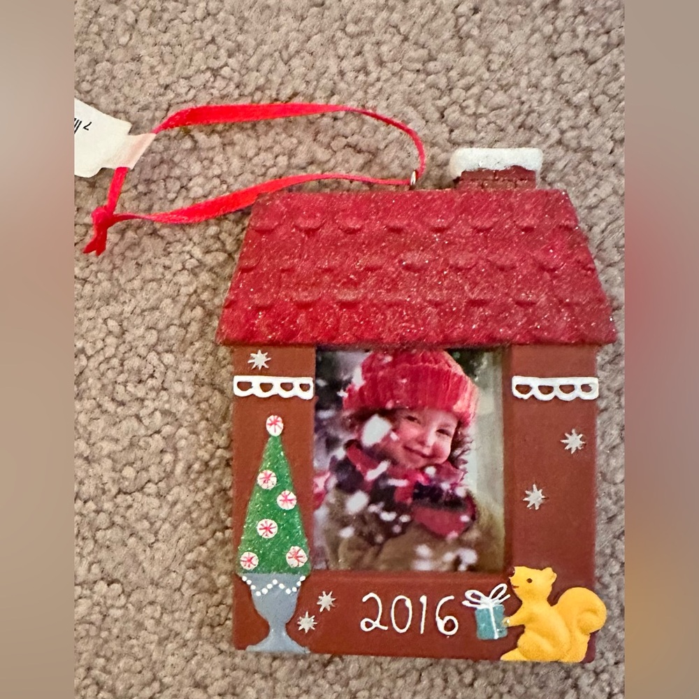 Hallmark 2016 Holiday Photo Ornament